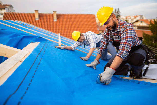 Best Sheet Metal Roofing  in Whitg, IN